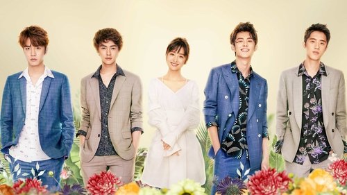 Meteor Garden backdrop 1