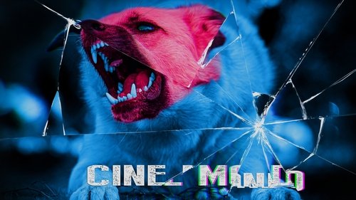 Épisode 7