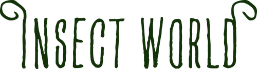 Insect World