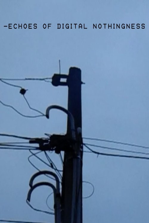 Echoes of Digital Nothingness (2025) poster