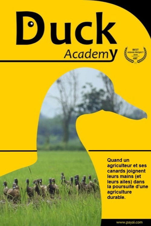 Thaïlande, à l'école des canards
