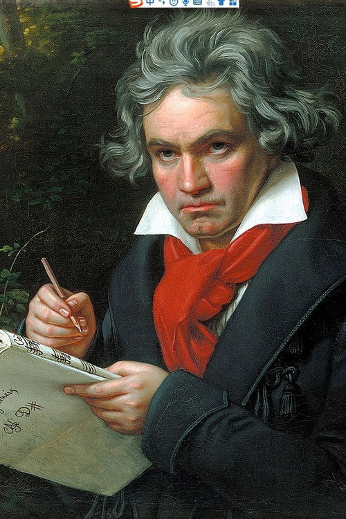 THE BEETHOVEN PROJECT