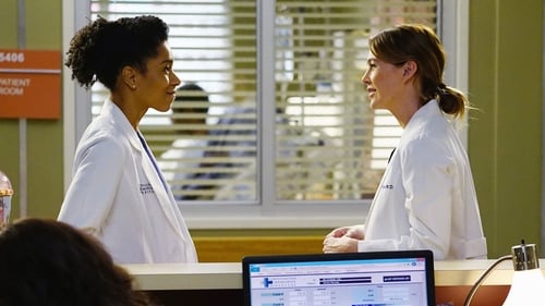 Grey's Anatomy - Season 11 - Episode 12: The Great Pretender