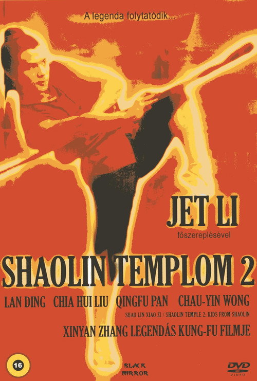 Shaolin Temple poster
