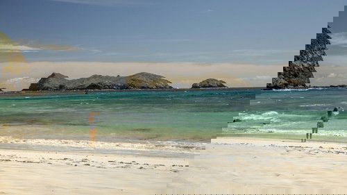 Backdrops