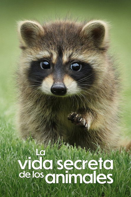 La vida secreta de los animales