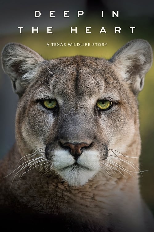 Deep in the Heart: A Texas Wildlife Story Movie Poster Image