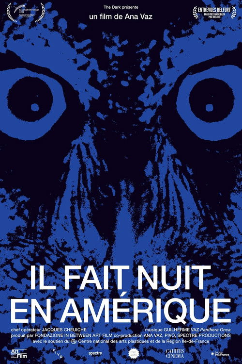 It Is Night in America poster