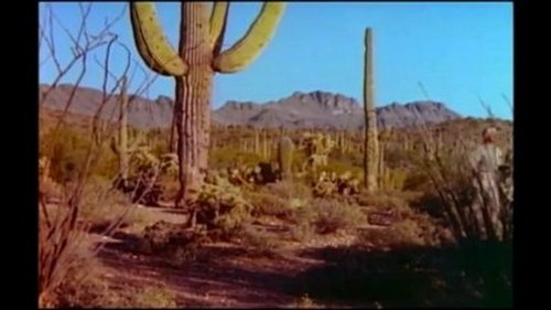 Image de l'épisode 15