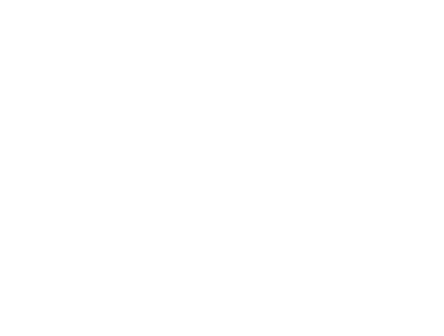 Salvage Dawgs