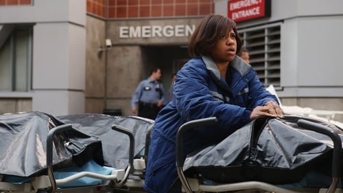 Grey's Anatomy - Season 6 - Episode 24: Death and All His Friends