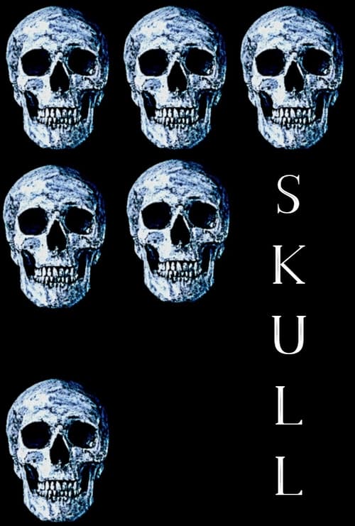 |EN| Skull 4K