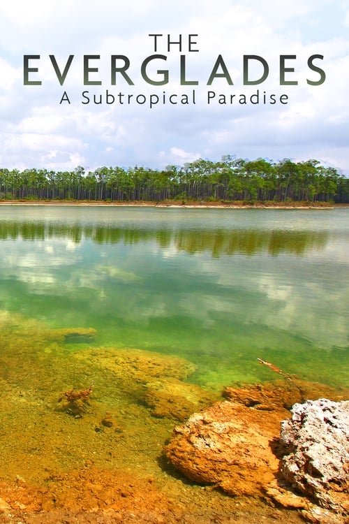 National Parks Exploration Series: The Everglades