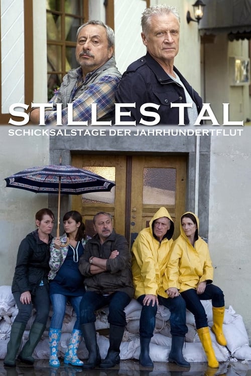 Watch Stilles Tal (2011) Movie Solarmovie 1080p Without Downloading Online Stream