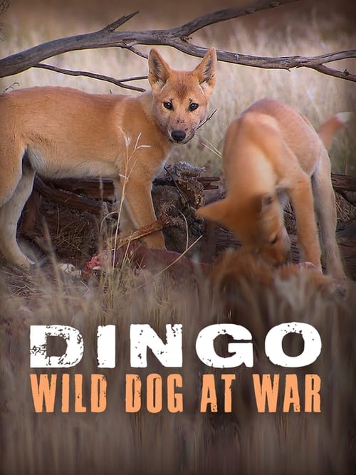 Dingo: Wild Dog at War