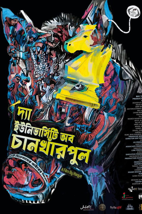 দ্য ইউনিভার্সিটি অফ চানখাঁরপুল海报