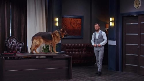 Épisode 12