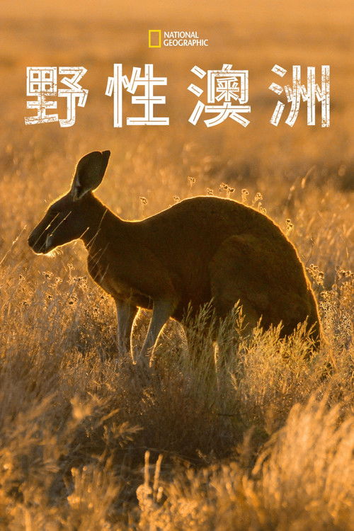 野性澳大利亚