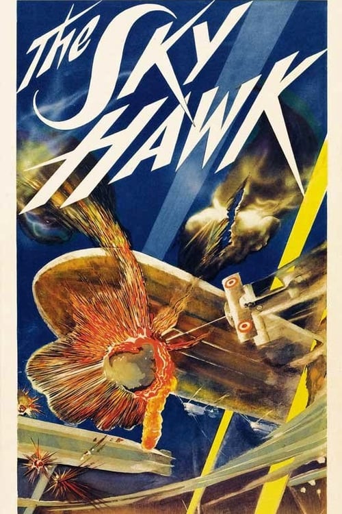 The Sky Hawk 1929