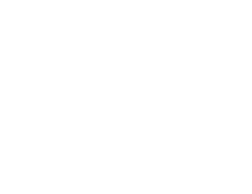 Viaje a la luna