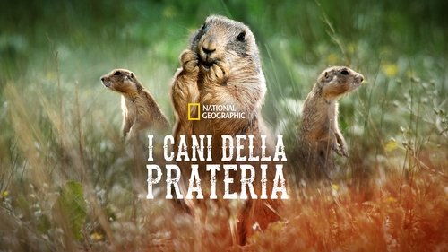 Prairie Dog Manor