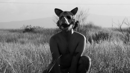 El perro Backdrop Blur