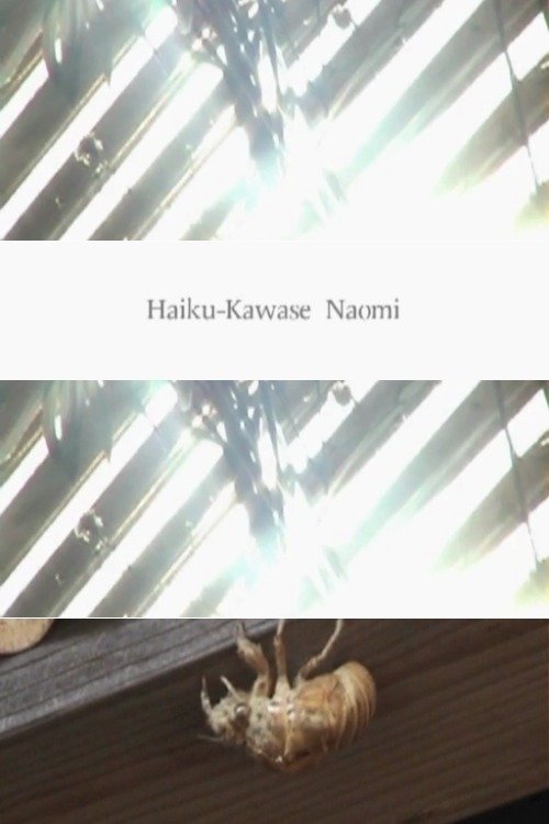 Haiku movie poster player
