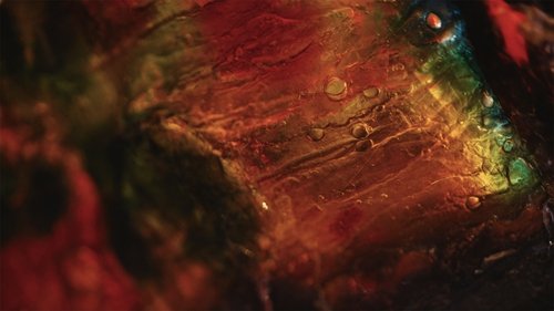 The Alchemy of Flowers