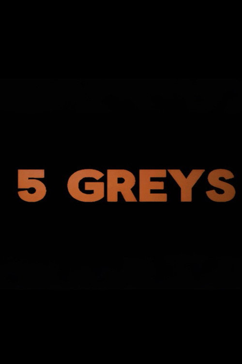 5 greys poster