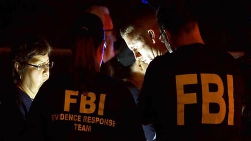 The FBI Declassified, S01E03 - (2020)