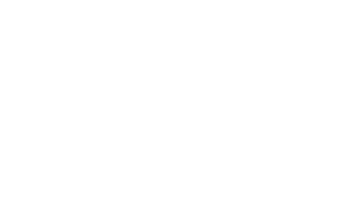 Keeping the Bees