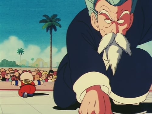 Dragon Ball: 1×24