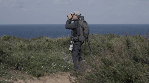 Observation Diary Backdrop Blur