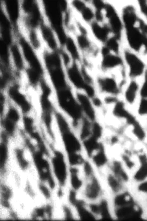 Felder 9.6 (1989) poster