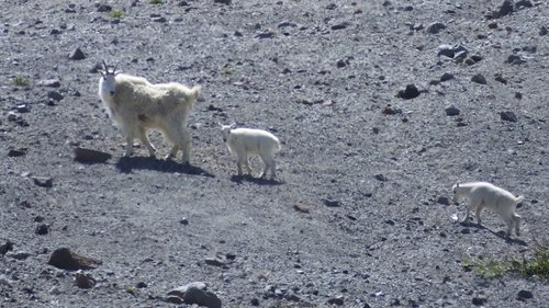 Image de l'épisode 7