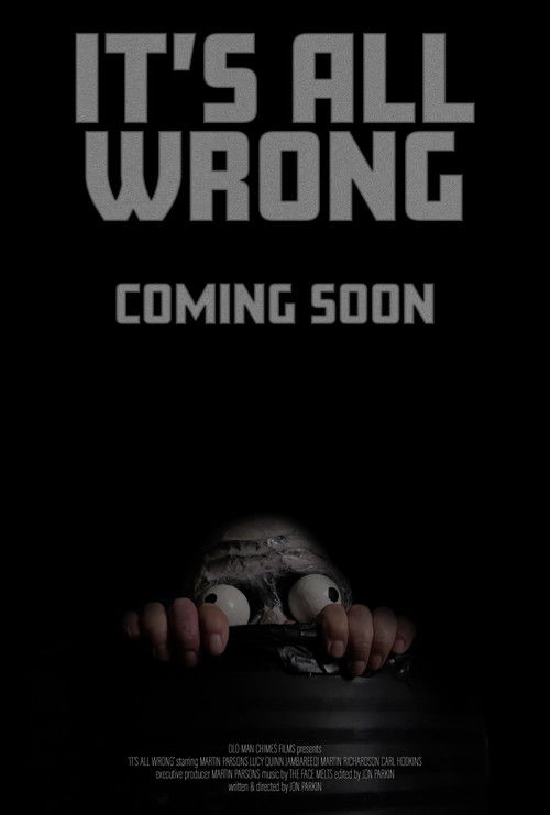 It's All Wrong poster