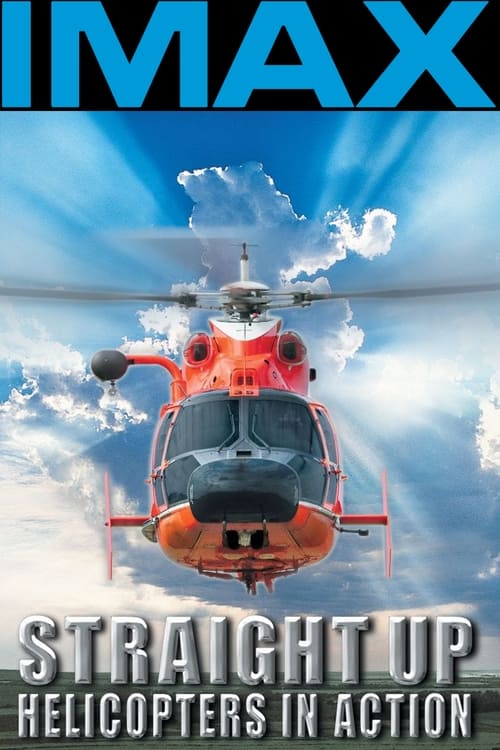Straight Up: Helicopters in Action (2002) poster