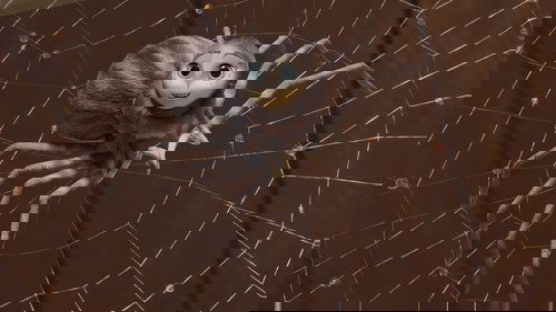 E.B. White's Charlotte's Web