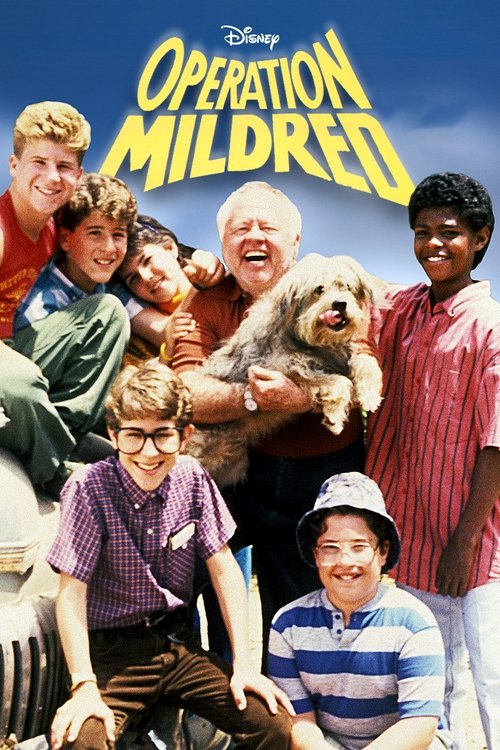 Opération Mildred Poster