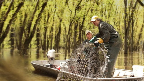 American River Renegades - Season 1 Backdrop Blur