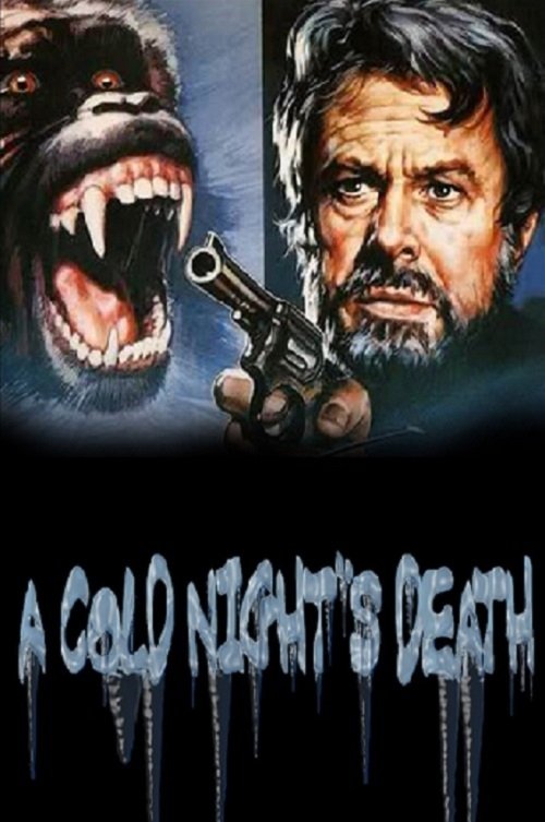 A Cold Night's Death 1973