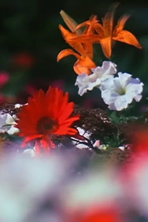 Fleurs 1979