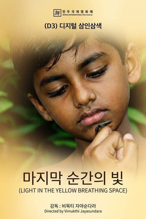 마지막 순간의 빛