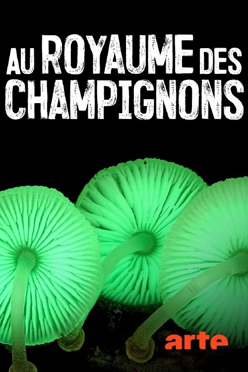 Au royaume des champignons movie poster player