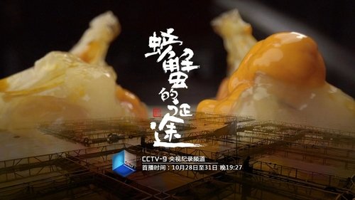 螃蟹的征途