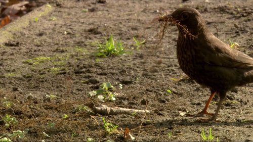 Image de l'épisode 1