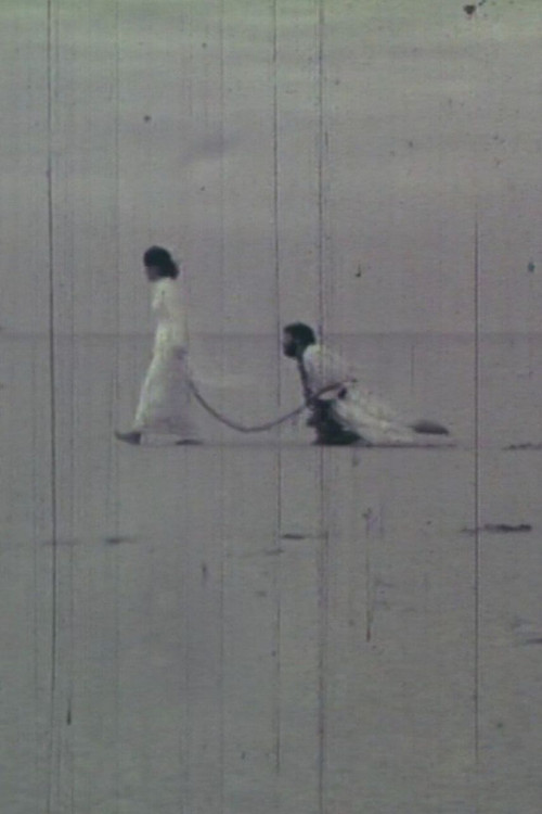 این آمدن و رفتن