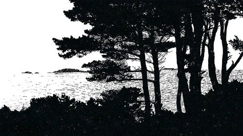 The Shoreline Backdrop Blur
