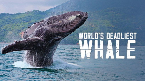 World's Deadliest Whale still