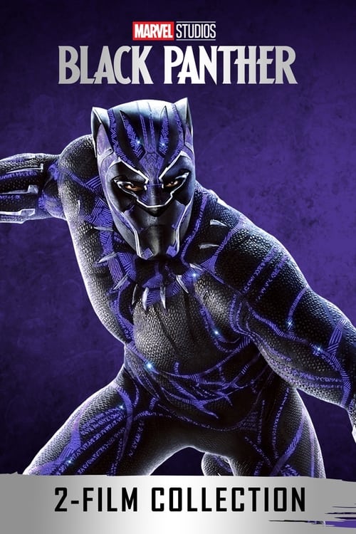 Black Panther Filmreihe